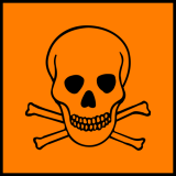Este é o símbolo de perigo para substâncias tóxicas.